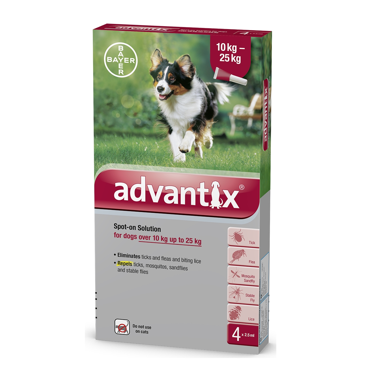 אדוונטיקס לכלבים במשקל 25-10 ק”ג